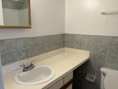 1015 Staghorn Street, Wellington, FL 33414