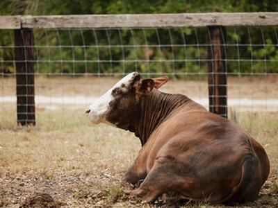 24770 SW 95th Street, Indiantown, FL 34956