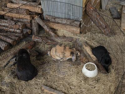 24770 SW 95th Street, Indiantown, FL 34956