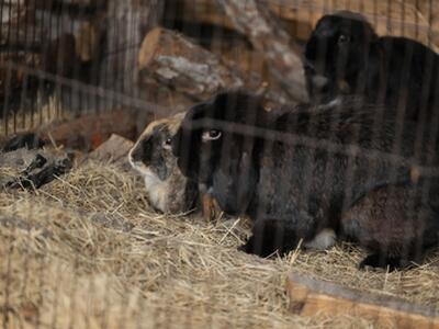 24770 SW 95th Street, Indiantown, FL 34956