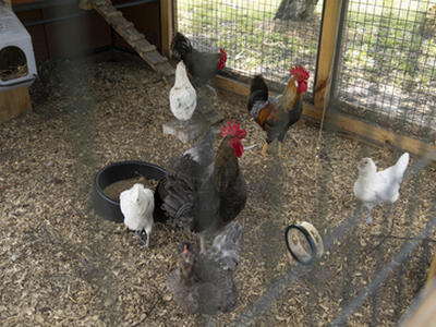 24770 SW 95th Street, Indiantown, FL 34956