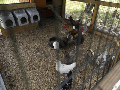 24770 SW 95th Street, Indiantown, FL 34956