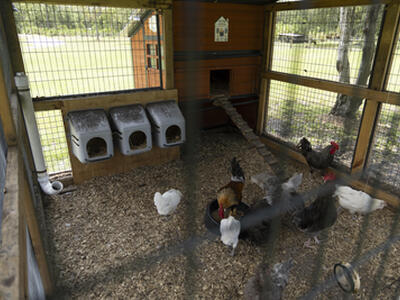 24770 SW 95th Street, Indiantown, FL 34956