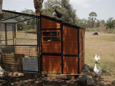 24770 SW 95th Street, Indiantown, FL 34956