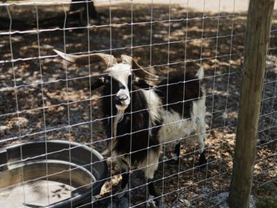 24770 SW 95th Street, Indiantown, FL 34956