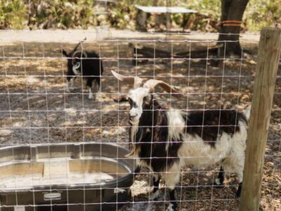 24770 SW 95th Street, Indiantown, FL 34956