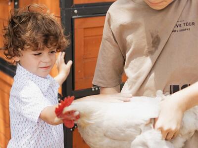 24770 SW 95th Street, Indiantown, FL 34956