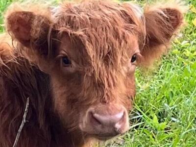 24770 SW 95th Street, Indiantown, FL 34956