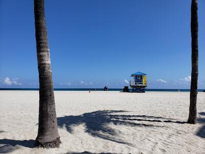 339 Virginia Street, Hollywood, FL 33019