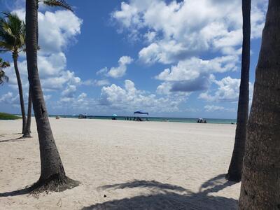 339 Virginia Street, Hollywood, FL 33019