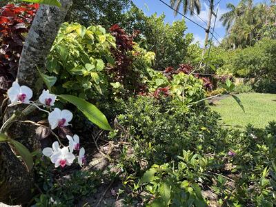 206 Russlyn Drive, West Palm Beach, FL 33405