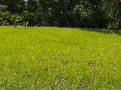 311 La Croix Road SW, Palm Bay, FL 32908