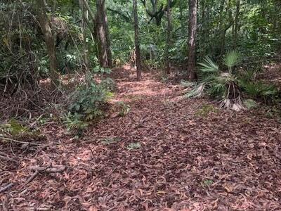 1551 Fenton Drive, Delray Beach, FL 33445