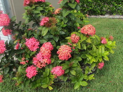 40 Norwich B, West Palm Beach, FL 33417