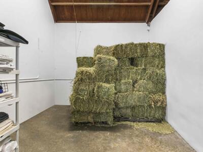 14484 Belmont Trace, Wellington, FL 33414