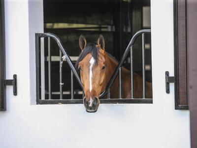 14484 Belmont Trace, Wellington, FL 33414