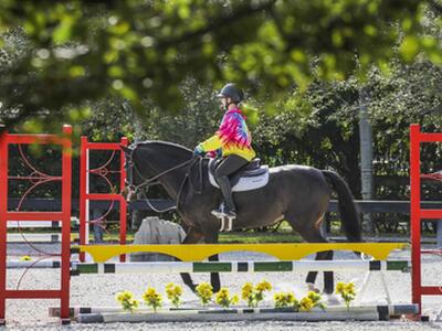 14484 Belmont Trace, Wellington, FL 33414