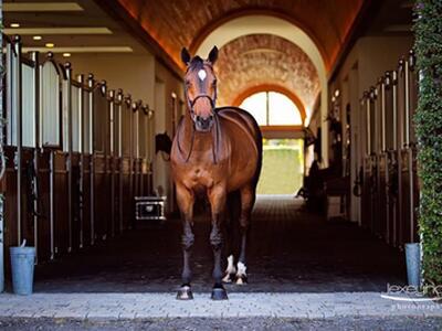 3238 Grand Prix Farms Drive, Wellington, FL 33414