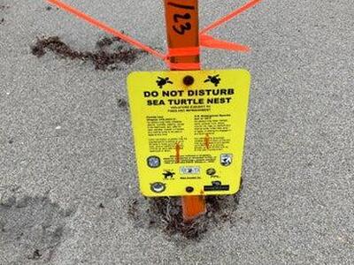 6 Royal Palm Way, Boca Raton, FL 33432