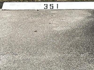 449 Piedmont J, Delray Beach, FL 33484