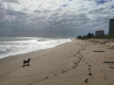 3870 N Highway A1a N, Fort Pierce, FL 34949