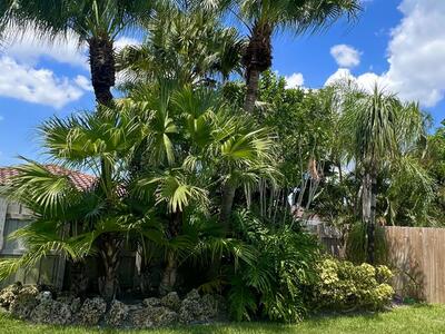 3421 NW 25th Terrace, Boca Raton, FL 33434