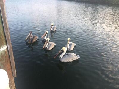 5159 N Hwy A1a, Hutchinson Island, FL 34949