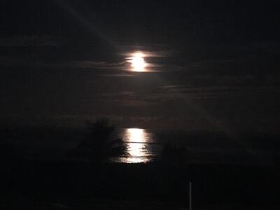 5159 N Hwy A1a, Hutchinson Island, FL 34949