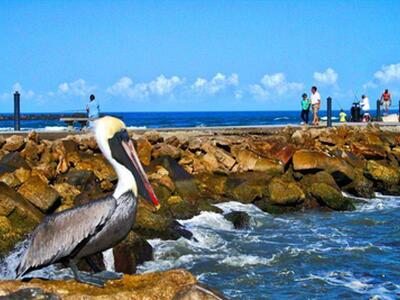 5159 N Hwy A1a, Hutchinson Island, FL 34949