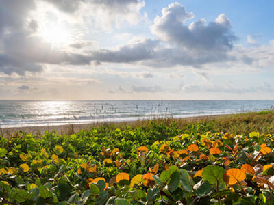 908 Lakeview Circle, Royal Palm Beach, FL 33411