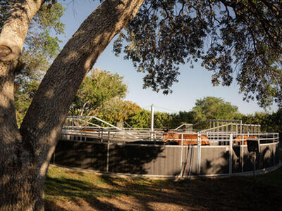 2780 Skipiks Way, Wellington, FL 33470