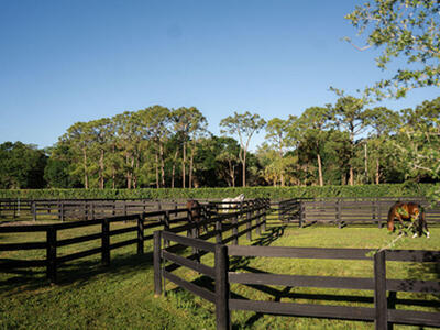 2780 Skipiks Way, Wellington, FL 33470