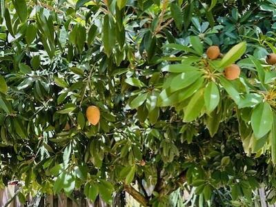 5245 Sancerre Circle, Lake Worth, FL 33463