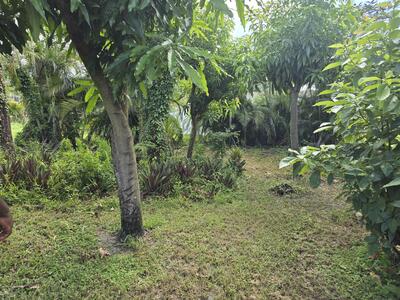 4125 Pine Branch Circle, Lake Worth, FL 33467