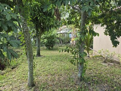 4125 Pine Branch Circle, Lake Worth, FL 33467