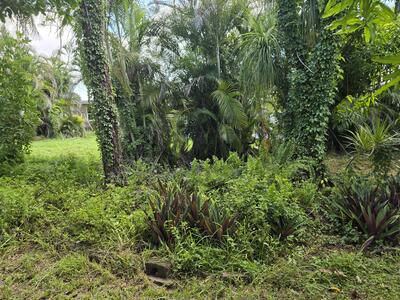 4125 Pine Branch Circle, Lake Worth, FL 33467