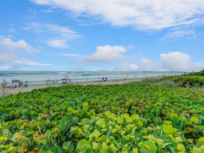 2850 S Ocean Boulevard, Palm Beach, FL 33480