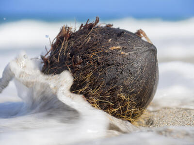 5440 N Ocean Drive, Singer Island, FL 33404