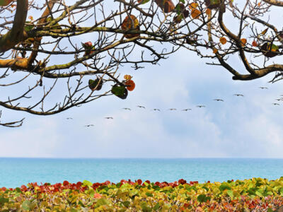 5440 N Ocean Drive, Singer Island, FL 33404