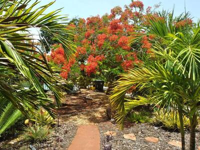 1016 N E Street, Lake Worth Beach, FL 33460