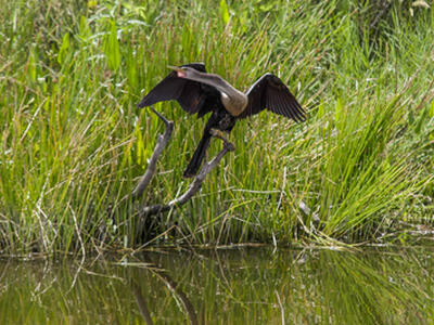 34 Dunbar Road, Palm Beach Gardens, FL 33418