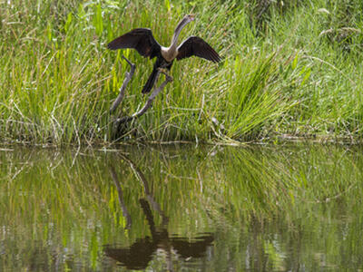 34 Dunbar Road, Palm Beach Gardens, FL 33418