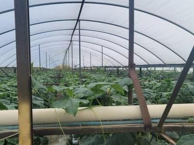 17300 Glades Cut Off Road, Port Saint Lucie, FL 34987