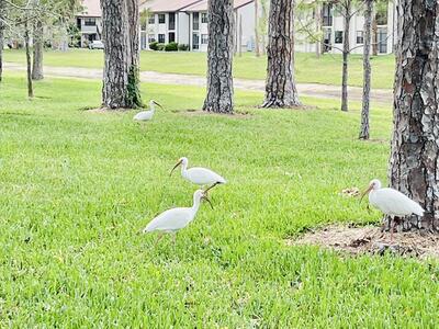 4725 Lucerne Lakes Boulevard E, Lake Worth, FL 33467