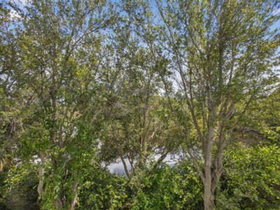 2213 Oakmont Drive, Riviera Beach, FL 33404