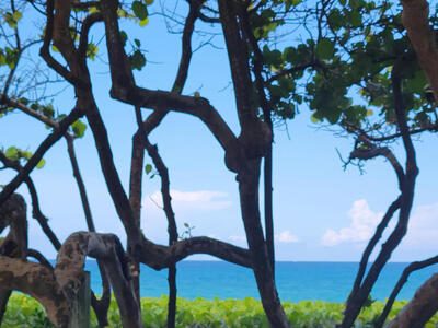 1909 19th Court, Jupiter, FL 33477