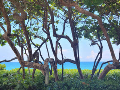 1909 19th Court, Jupiter, FL 33477