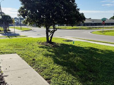 207 Alcantarra Street NW, Palm Bay, FL 32907