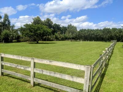 819 Cindy Circle Lane, Wellington, FL 33414