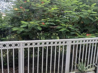 9857 Baywinds Drive, Royal Palm Beach, FL 33411